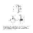 6-5-4-3-2-E38 NZLS_DessinTechnique.webp