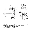 E38 NZLS_DessinTechnique.webp