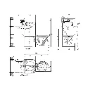 COMIB-MUR-ARR-CEN-PRI_DessinTechnique.webp